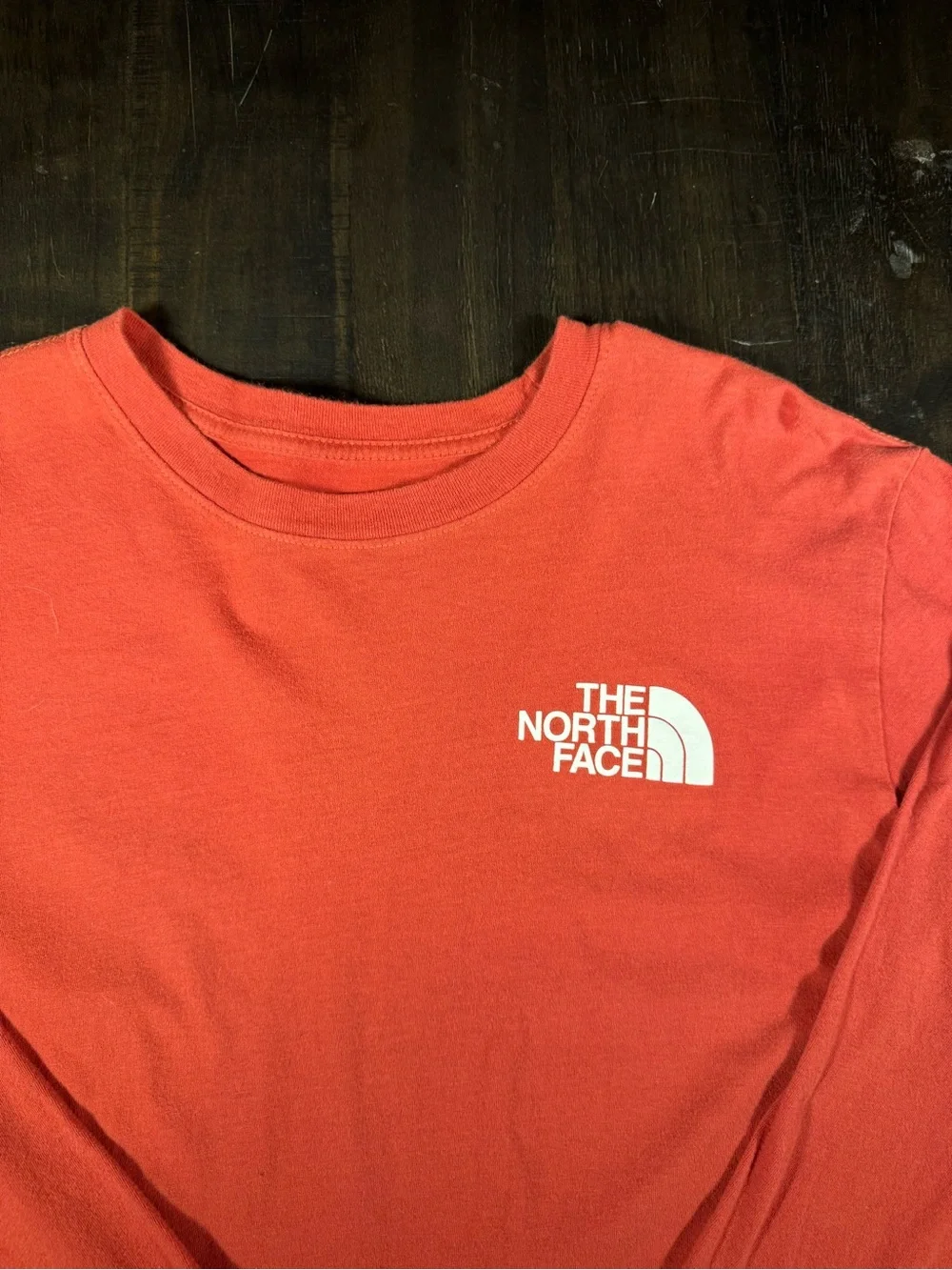 The North Face Blood Orange Graphic Tee